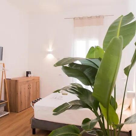 Almami Loft &